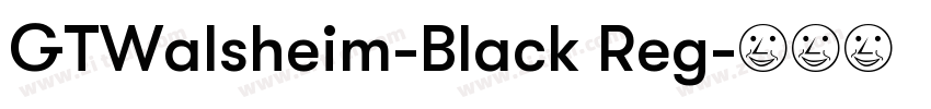 GTWalsheim-Black Reg字体转换